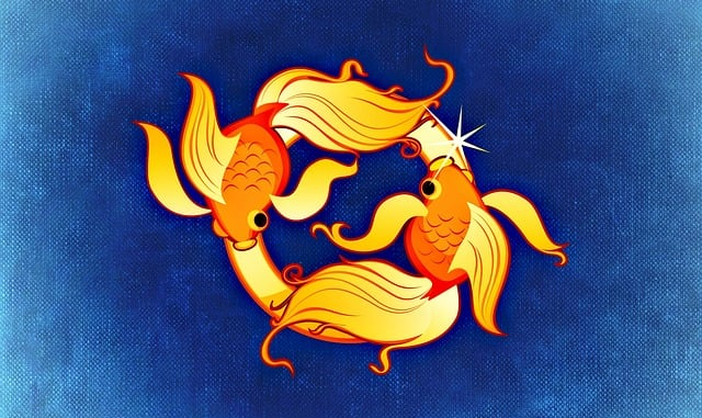 RAHU VE KETUNUN BURÇLARA ETKİSİ